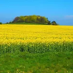 Appartement Residenz Eintracht *
